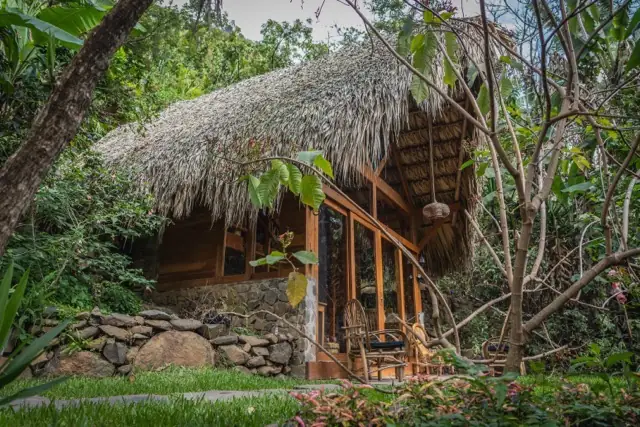 Kiya: thatched exterior among trees